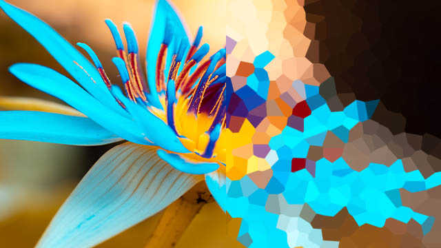 Compression and Loss